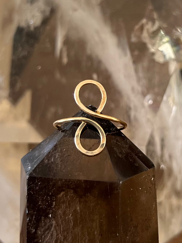 The Infinity Ring